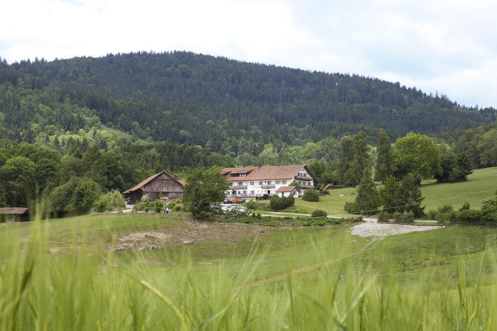 Hotel Wild-Berghof Buchet Bernried Habitación foto